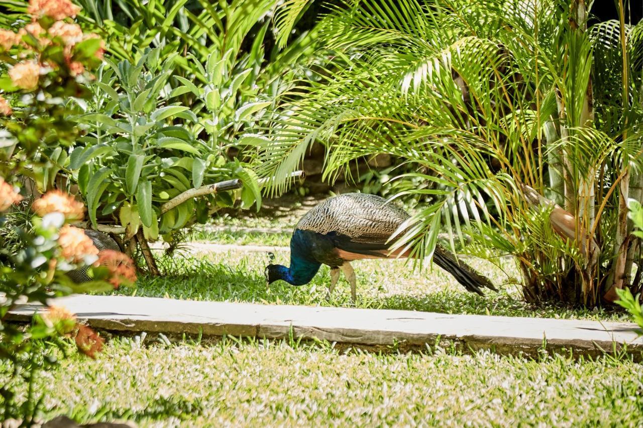 Villa Lu Amazon Ecolodge Tarapoto Exterior foto