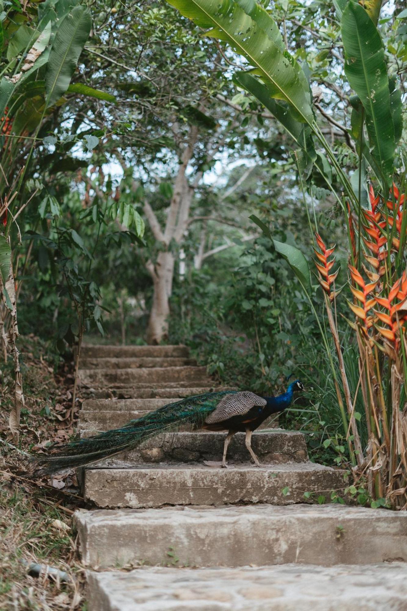 Villa Lu Amazon Ecolodge Tarapoto Exterior foto